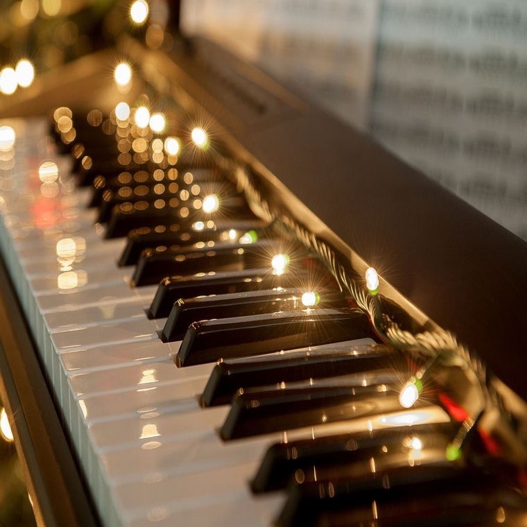 Елагинские вечера. Концерт музыкального салона "Canto" от проекта "Bellissima musica"