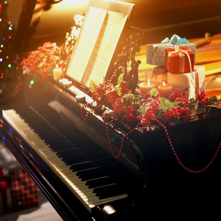 Елагинские вечера. Концерт "Романтика зимних вечеров"