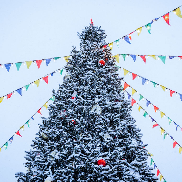 Афиша Большого катка. Сезон 2025-2026