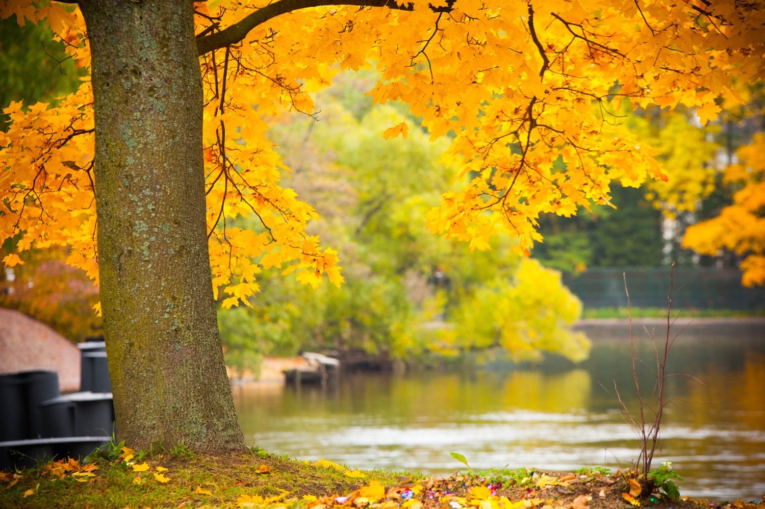 некий текст