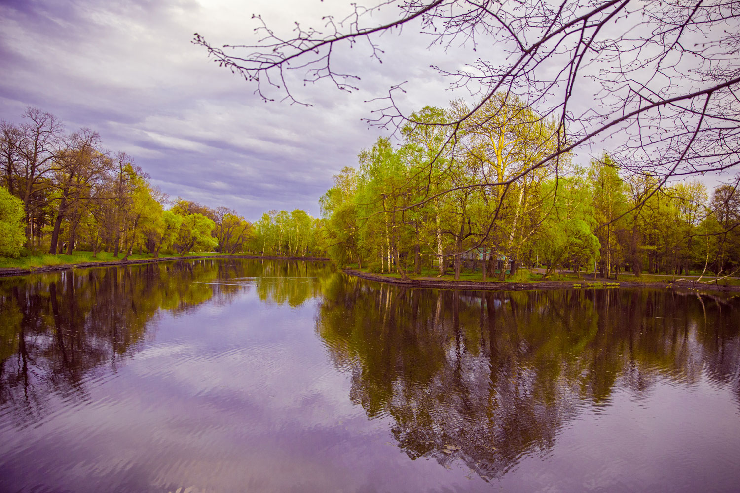 некий текст