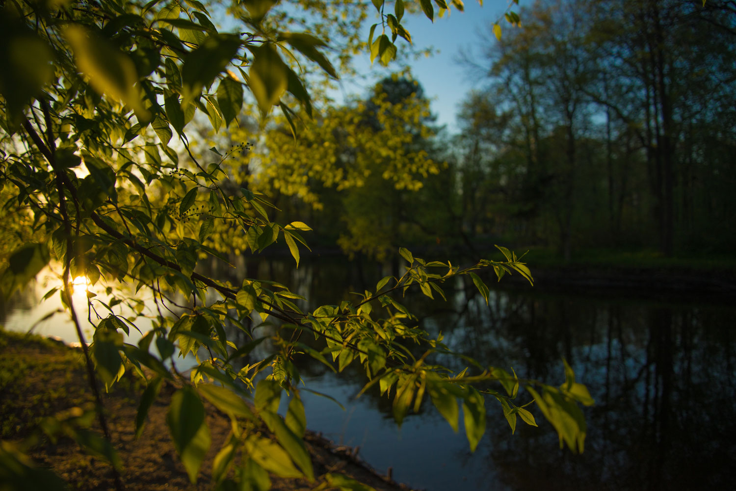 некий текст