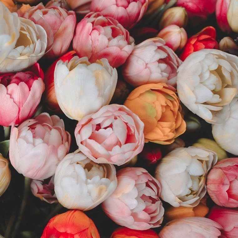 Елагинские вечера. К Международному женскому дню: вечер вокальной музыки