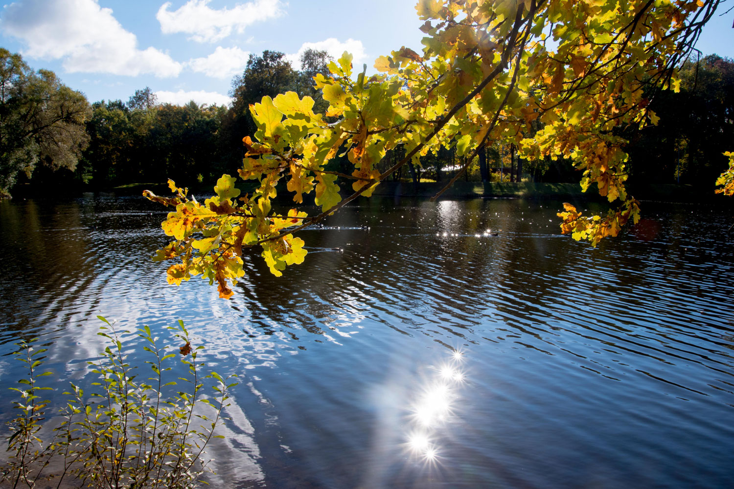 некий текст