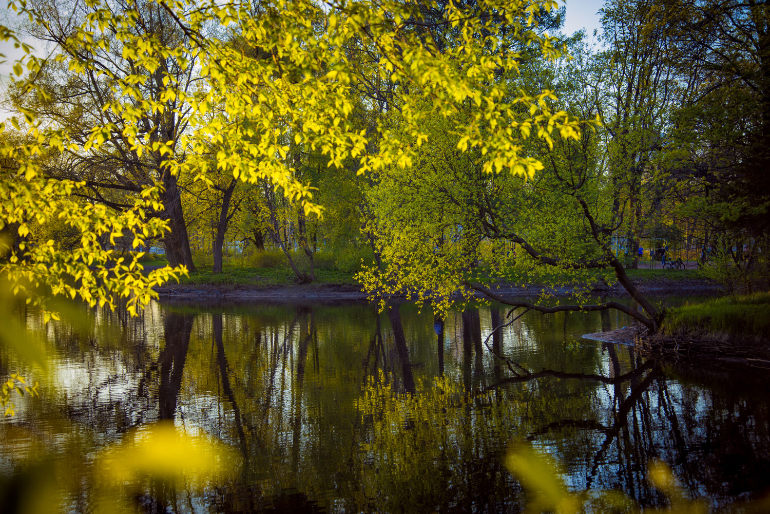 некий текст