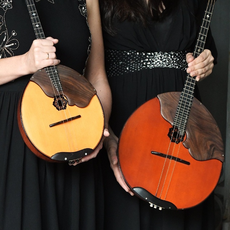 Елагинские вечера. Вечер камерной музыки "Вдохновение русских струн"