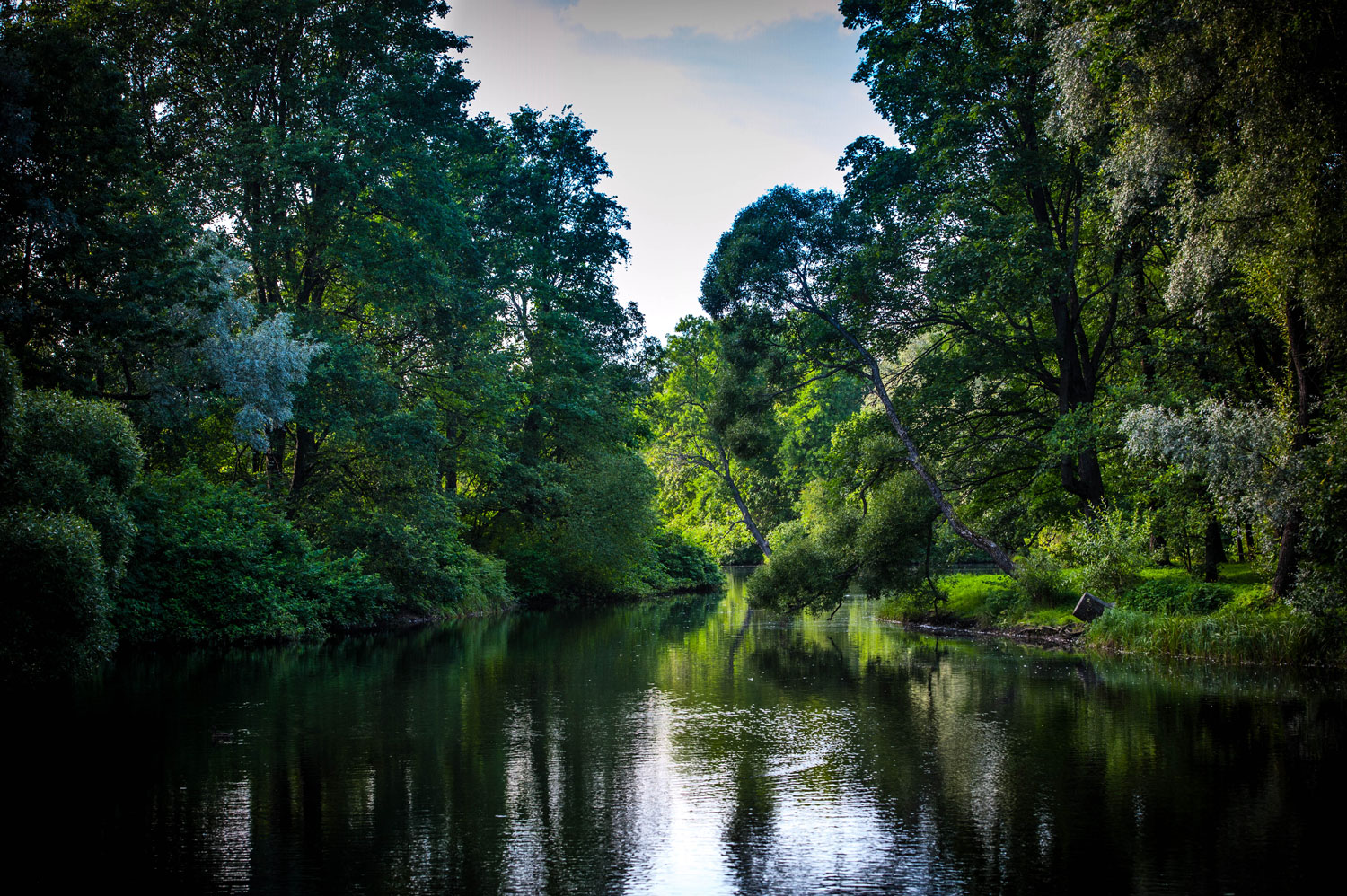 некий текст