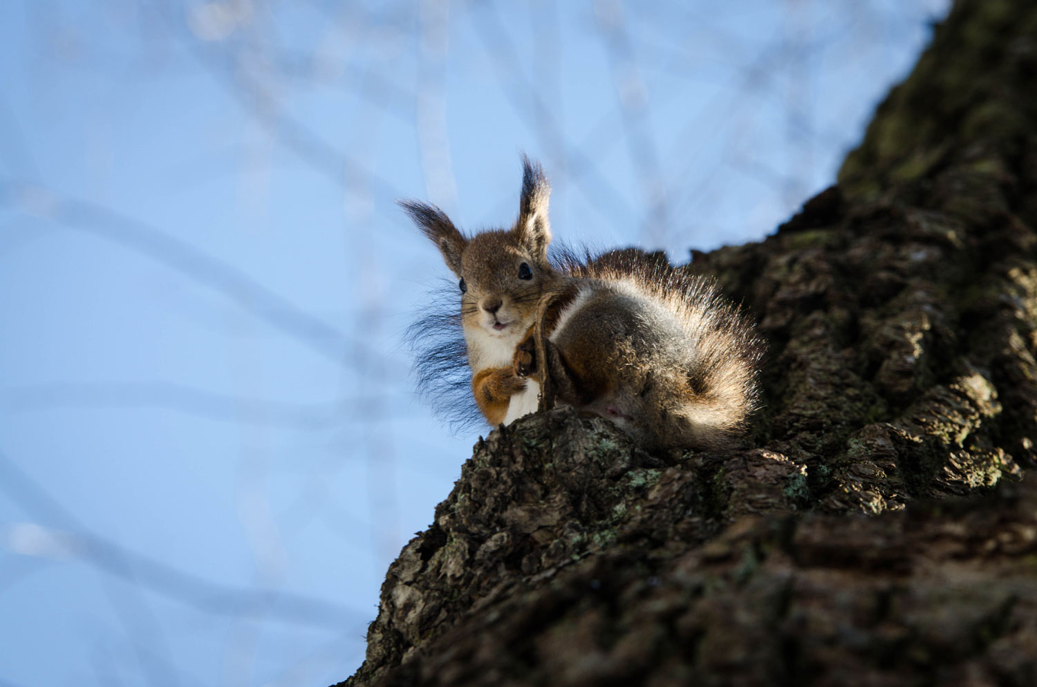некий текст