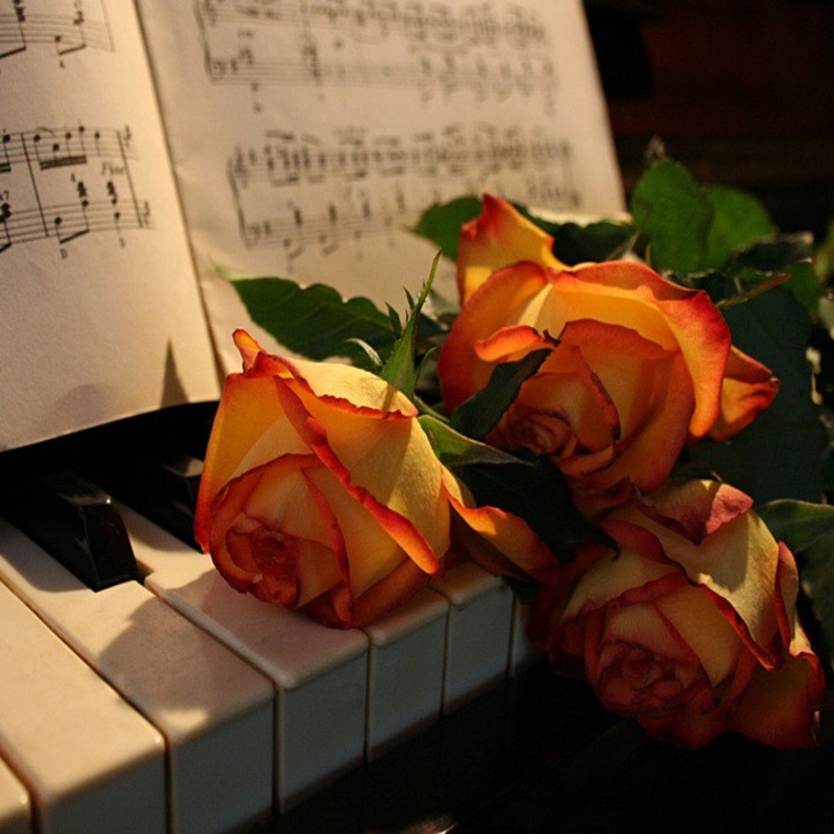 Елагинские вечера. Вечер вокальной музыки. К 100-летию со дня рождения Ирины Архиповой