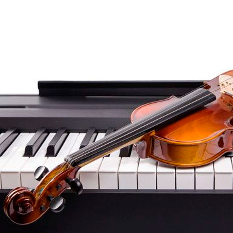 Елагинские вечера.  Вечер камерной музыки