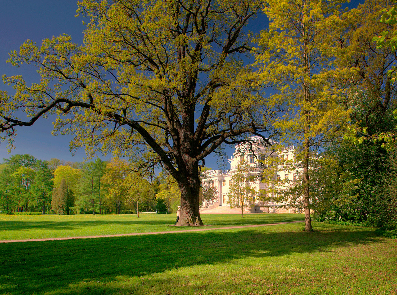 некий текст