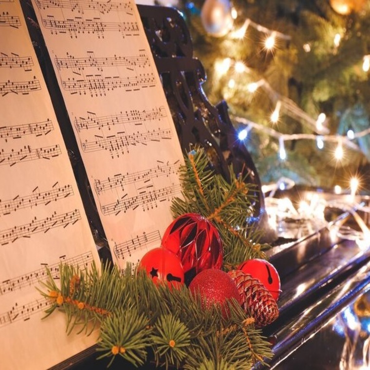 Елагинские вечера. Концерт "Музыкальные мгновения"