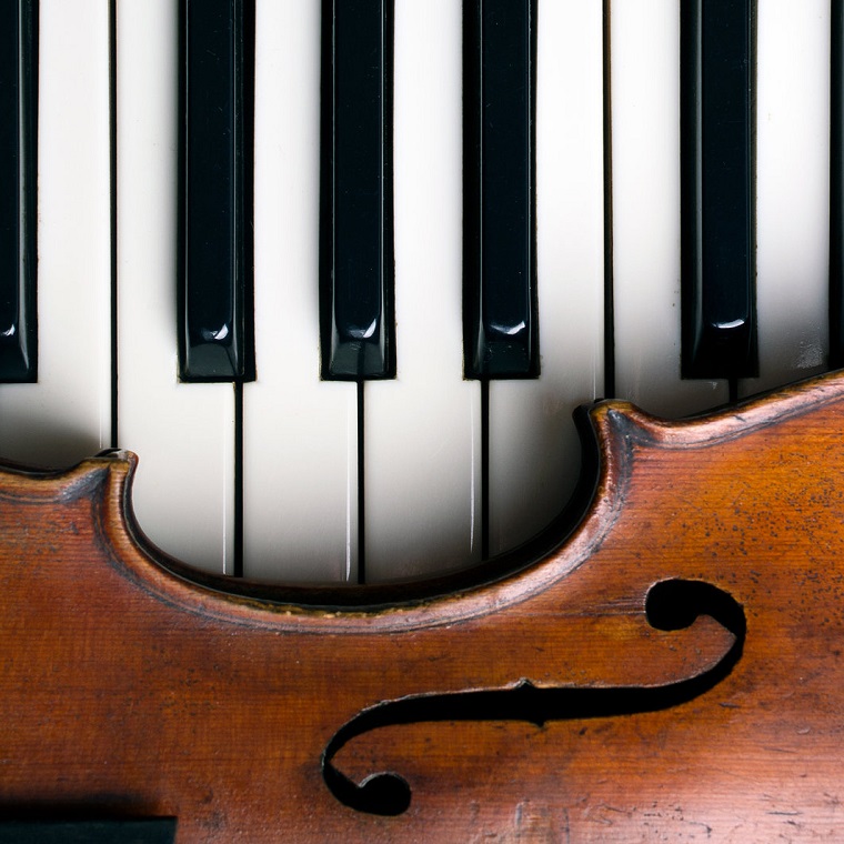 Елагинские вечера. Вечер камерной музыки