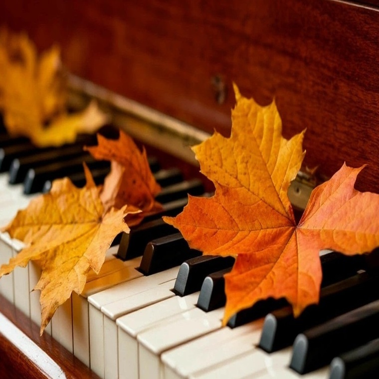 Елагинские вечера. Концерт  фортепианной музыки "Мы музыкой живём"