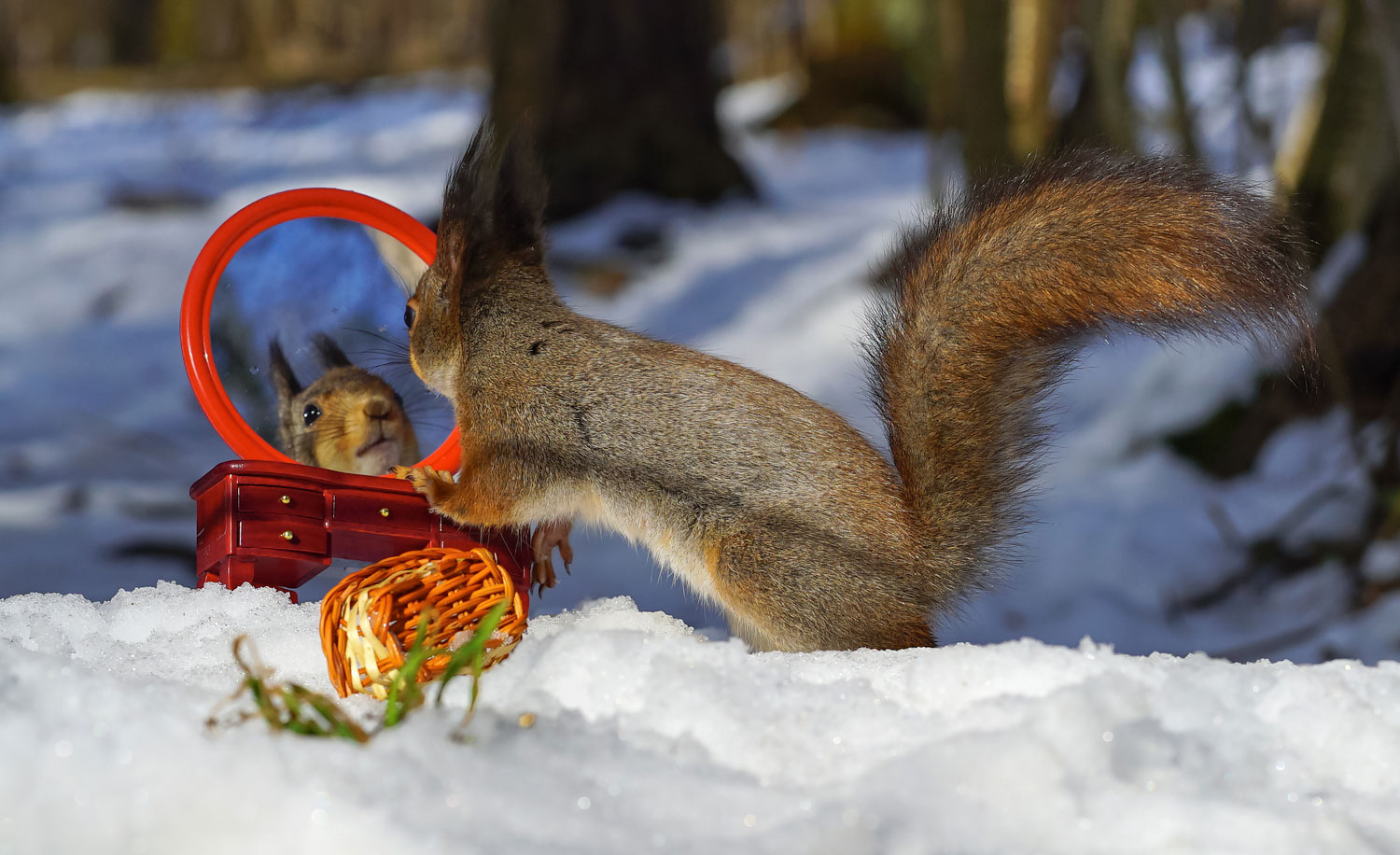 некий текст