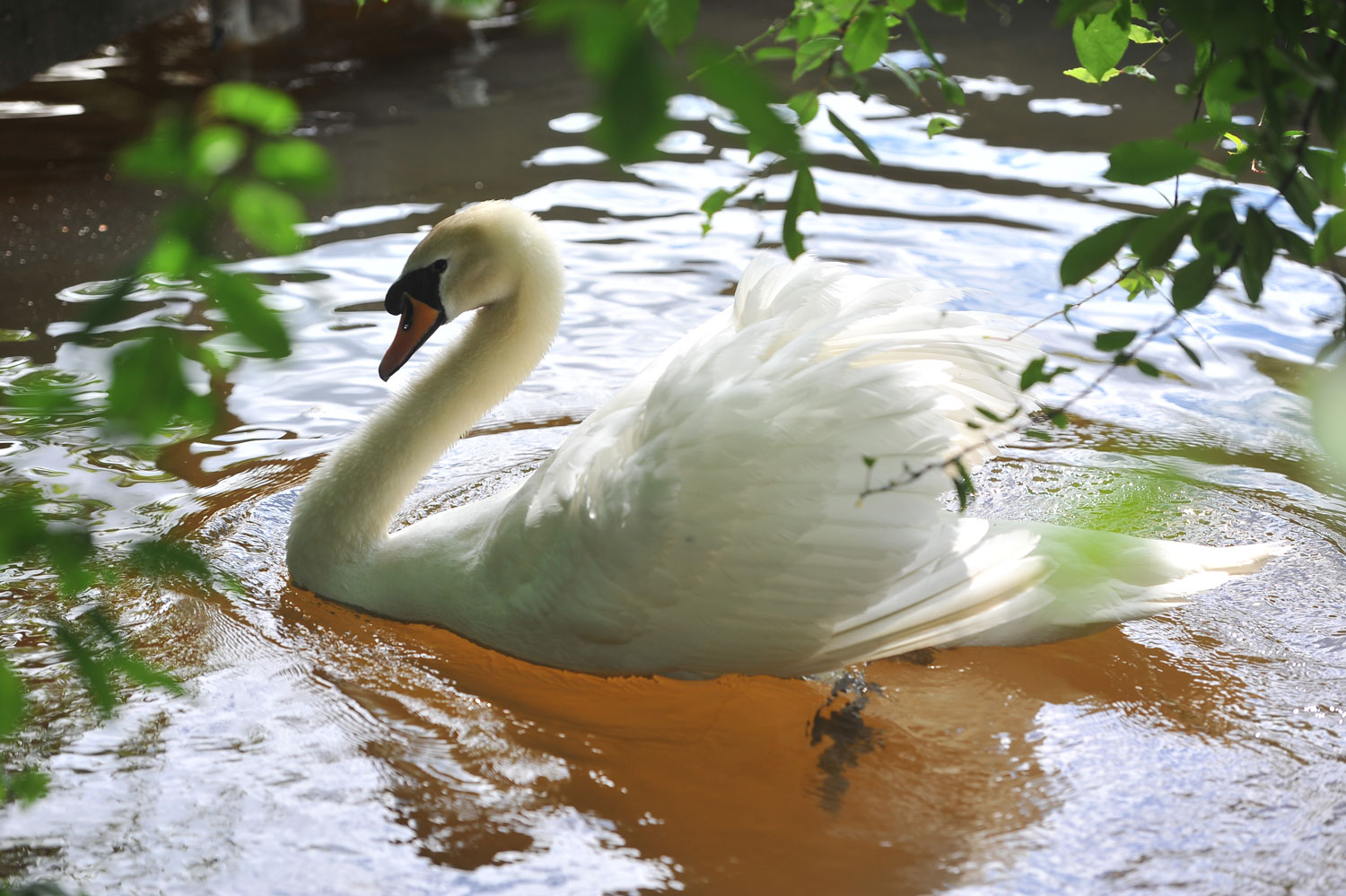 некий текст