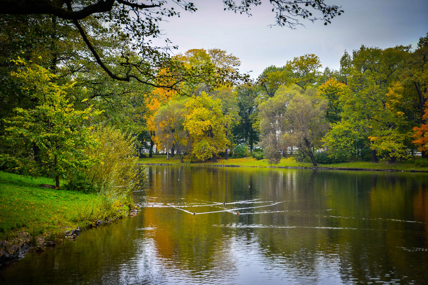 некий текст